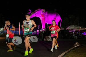 BIB: 
                            <button type="button" onclick="openModal(26543086)" class="btn btn-primary btn-sm float-right btn-popup" data-toggle="modal" data-target=".modal-high-quality">
                        <i class="fas fa-shopping-cart"></i> Add to Cart
                    </button>
                                            <button type="button" onclick="isThisMe(26543086, true)" class="btn btn-success btn-sm float-right btn-popup btn-isme hidden" data-toggle="tooltip" data-placement="bottom" title="นี่คือรูปของคุณใช่ไหม คลิกที่นี่เพื่อเอาเข้าอัลบั้ม">
                        <i class="fas fa-plus"></i> Add to album
                    </button>
                    <button type="button" onclick="isThisMe(26543086, false)" class="btn btn-warning btn-sm float-right btn-popup btn-isnotme hidden">
                        <i class="fas fa-ban"></i> Remove from album
                    </button>